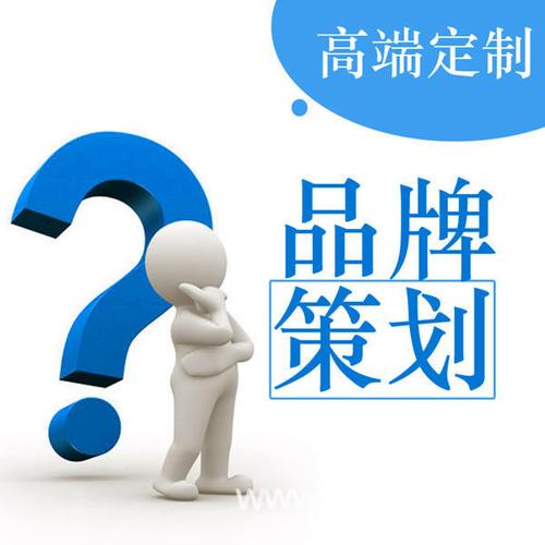 上海网络营销策划与上海企业网站推广 策略、实战与趋势